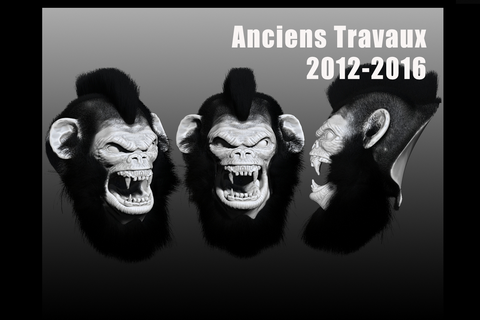 Ancien book